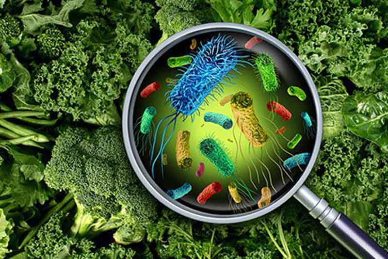 عوامل سمومیت غذایی