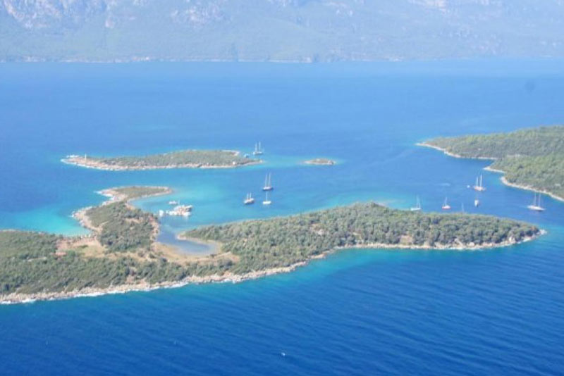 از جزیره سدیر دیدن کنید