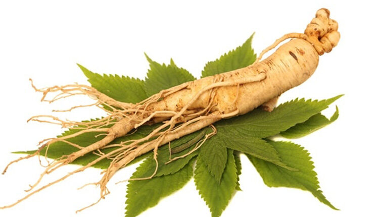 6 خاصیت درمانی جینسینگ برای سلامتی