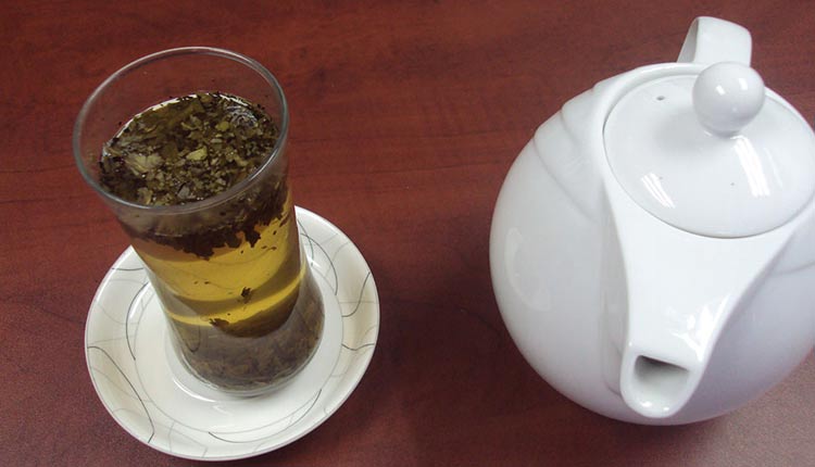 چای کامبوجا