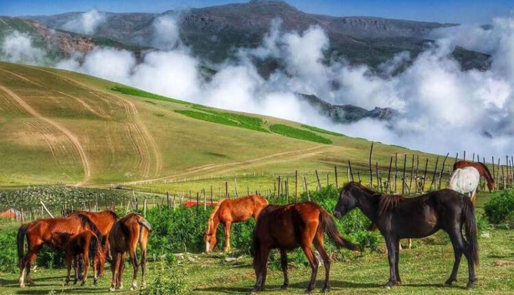مکان گردشگری بکر ایران