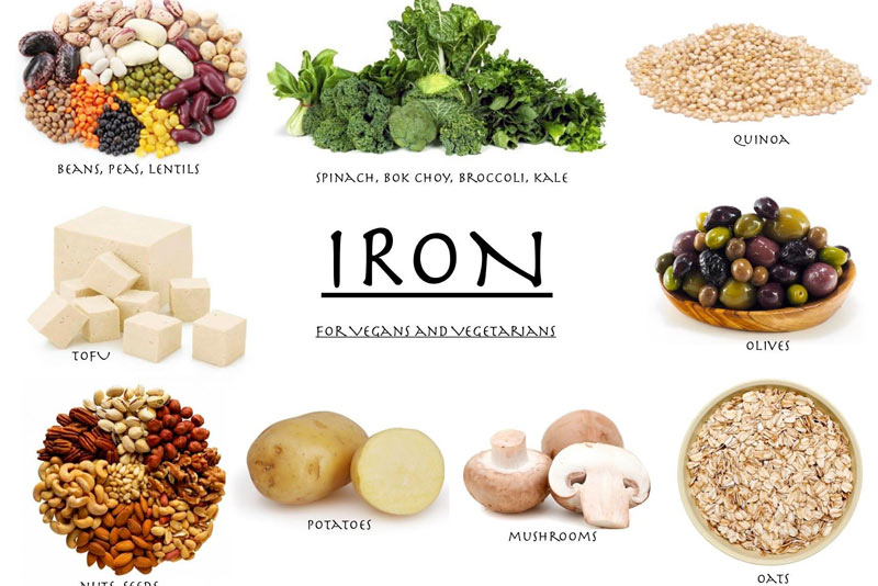 غذاهای غنی از آهن برای گیاه خواران