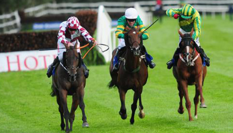 رشته های ورزشی با همراهی حیوانات