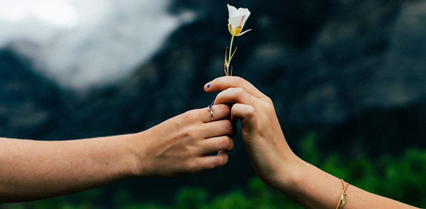 بخشیدن برای سپاسگزاری بیشتر 