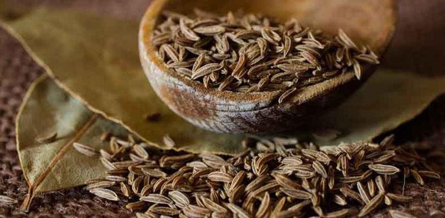 عرق زیره در بارداری