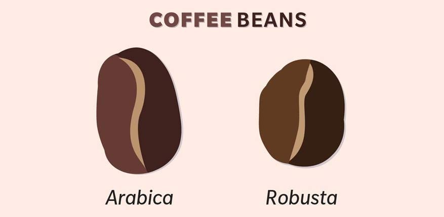 انواع مختلف دانه قهوه