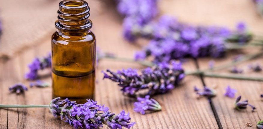 اسطوخودوس برای بی خوابی