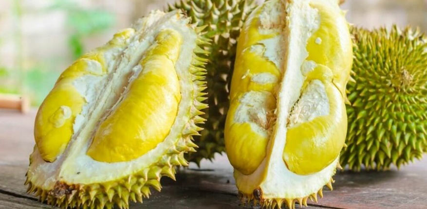 میوه خارگیل یا دوریان