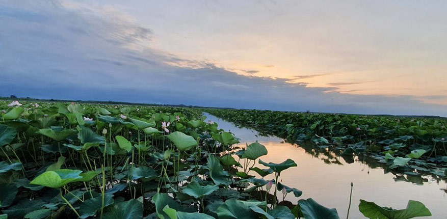 تالاب انزلی