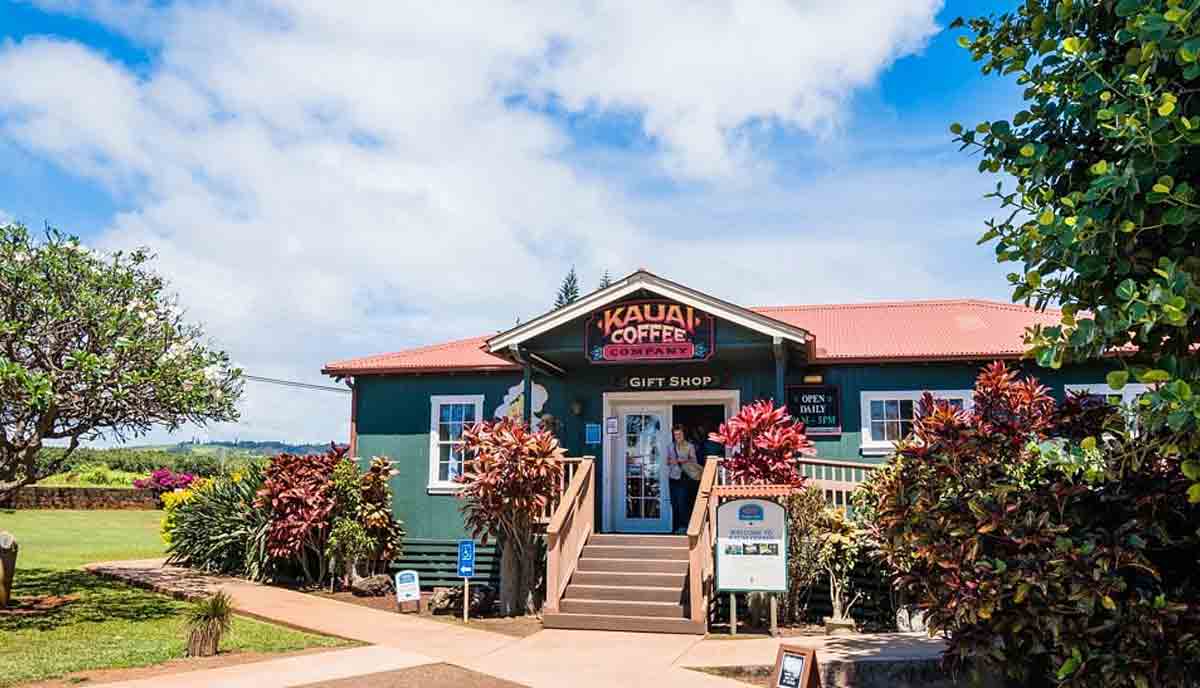 شرکت قهوه‌ی کائوای