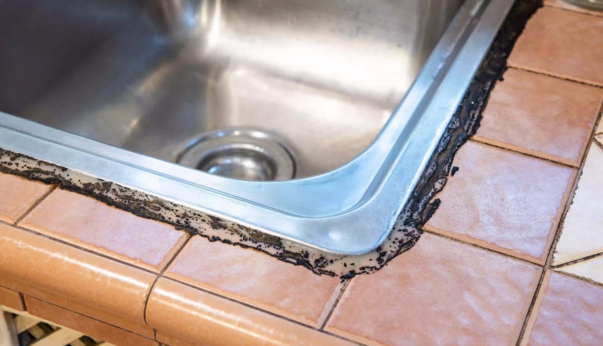 تصویر قارچ زدگی چسب نامناسب به علت رطوبت در سینک