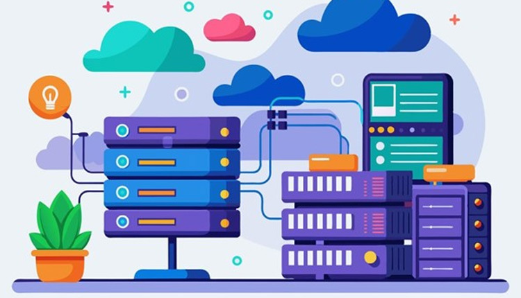 هاست و دامنه