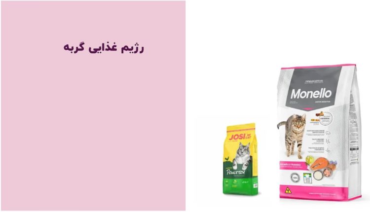 رژیم غذایی گربه