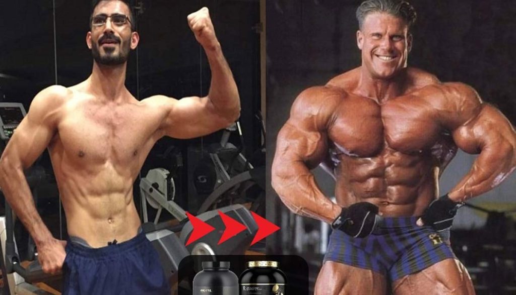 مس گینر چقدر حجم عضلانی می ‌دهد؟