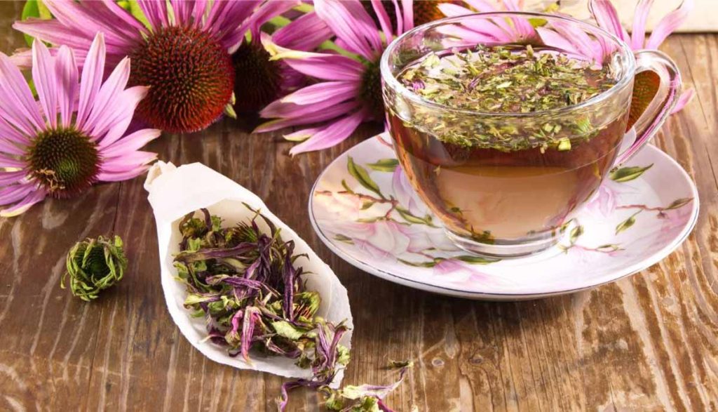 دمنوش گیاه سرخارگل