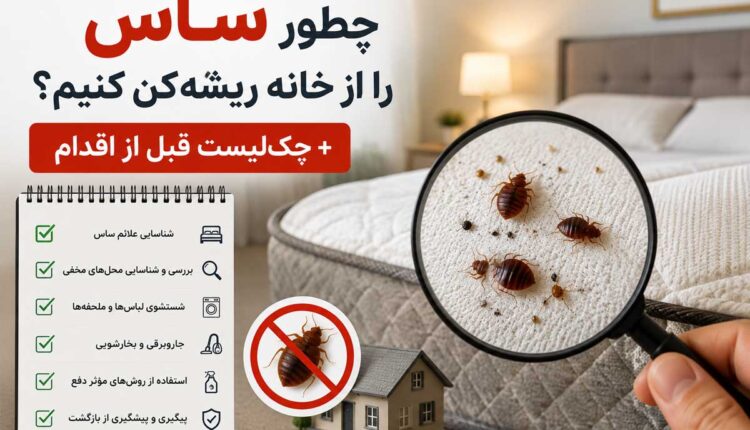 چطور ساس را از خانه ریشه‌کن کنیم؟ + چک‌لیست قبل از اقدام